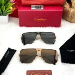 A 1 Copy/Cartier/Sunglasses